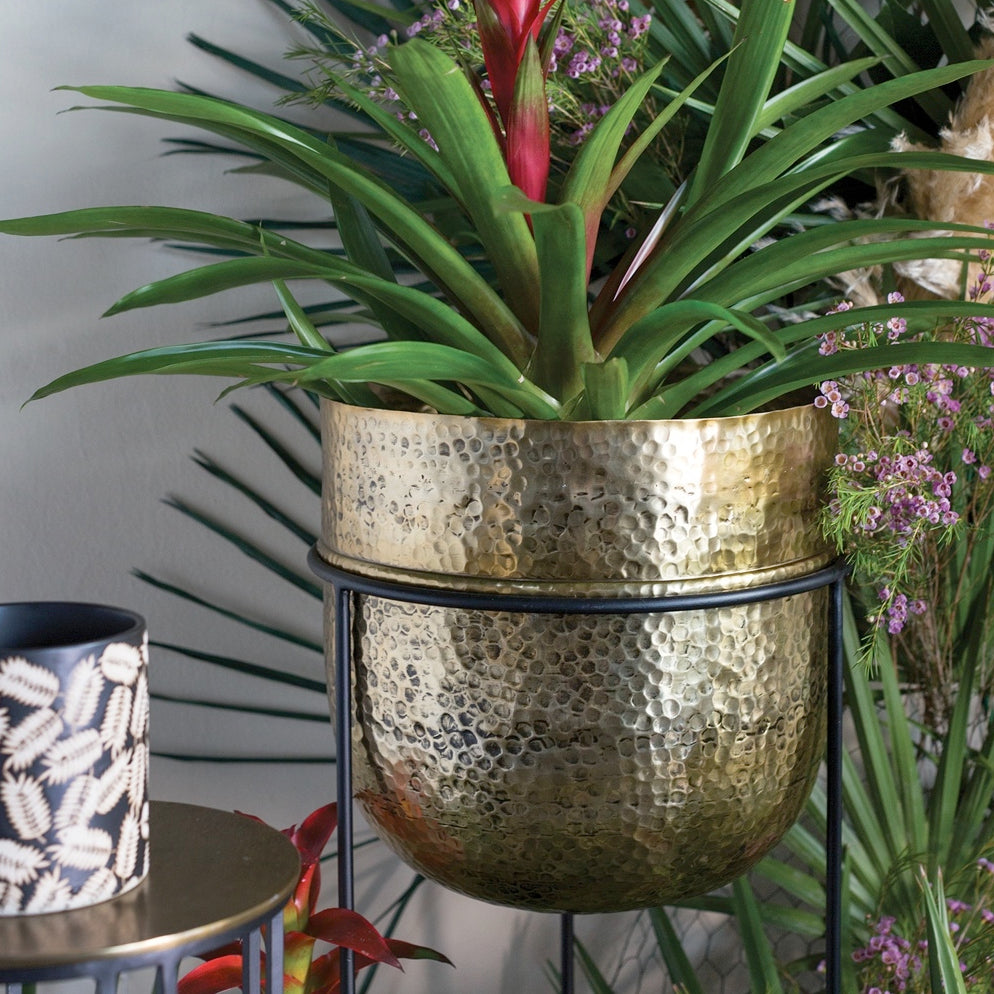 FORUM PLANT STAND 12.75"x 34"