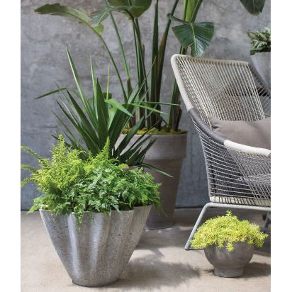 LIVING PLANTER 19.5"