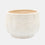 GRANDPA PLANTER WHITE 7