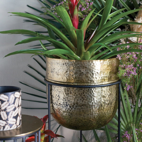 FORUM PLANT STAND 12.75"x 34"