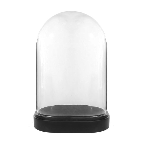 GLASS DOME OVAL L 55cm