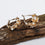 ARETES8