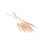DRIED PAMPAS GRASS PINK 25.5