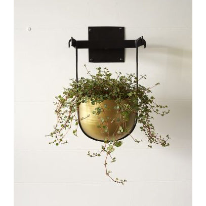 BENTON HANGING POT 9.5 x 8.25 x 13.0"