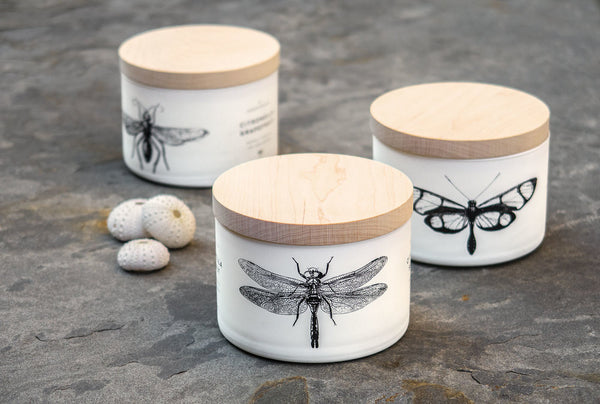 CITRONELLA SEA SALT CANDLE