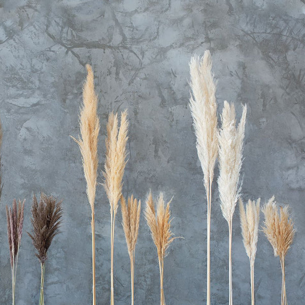 DRIED PAMPAS GRASS 47" SET/3