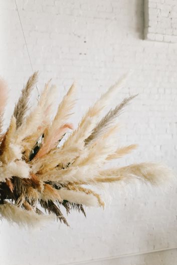 DRIED PAMPAS GRASS GREY 55" SET/3