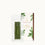 FRASIER FIR CAR REFILL 0.42 OZ NET WT / 12 G